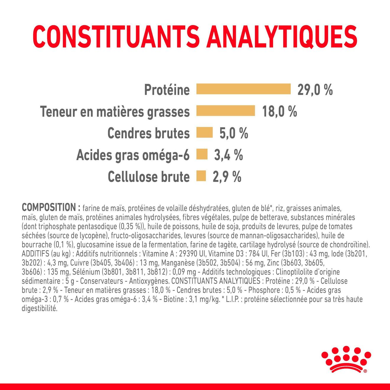 Yorkshire Terrier 8+