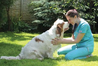 Visits to the breeder’s premises to perform services 