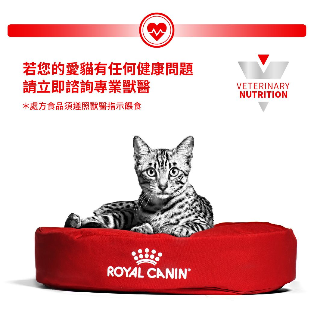 成貓腎臟處方袋裝濕糧（雞肉）