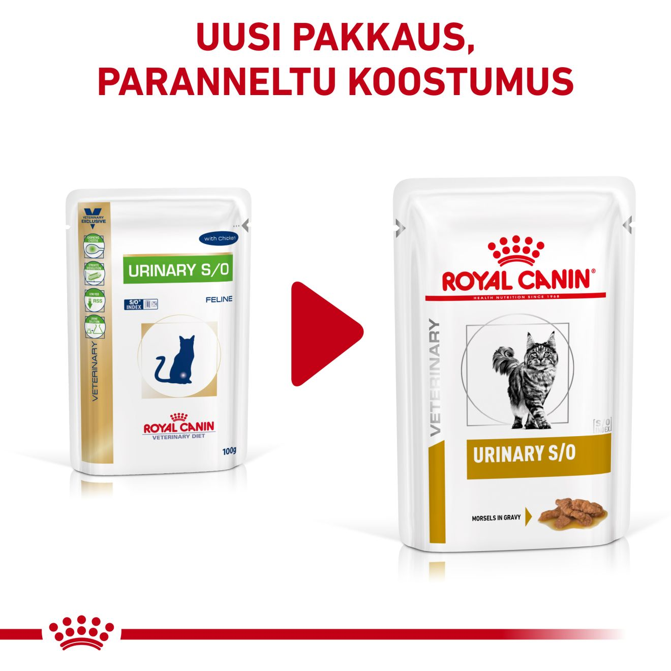 Urinary S/O | Royal Canin FI