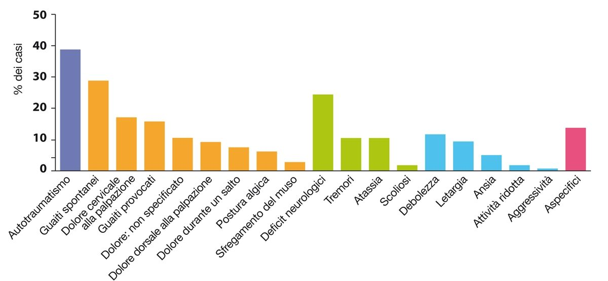 Grafico dei segni clinici segnalati nei cani con diagnosi di malformazione simil-Chiari/siringomielia sintomatica nella pratica veterinaria primaria; i principali tipi di segni clinici sono codificati per frequenza e per colore: autotraumatismo (viola), dolore (arancio), segni neurologici (verde), alterazioni comportamentali (blu) e aspecifici (rosa).