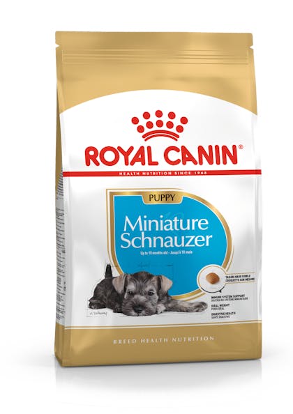 PU_SCHNAUZER_PACKSHOT_BHN18