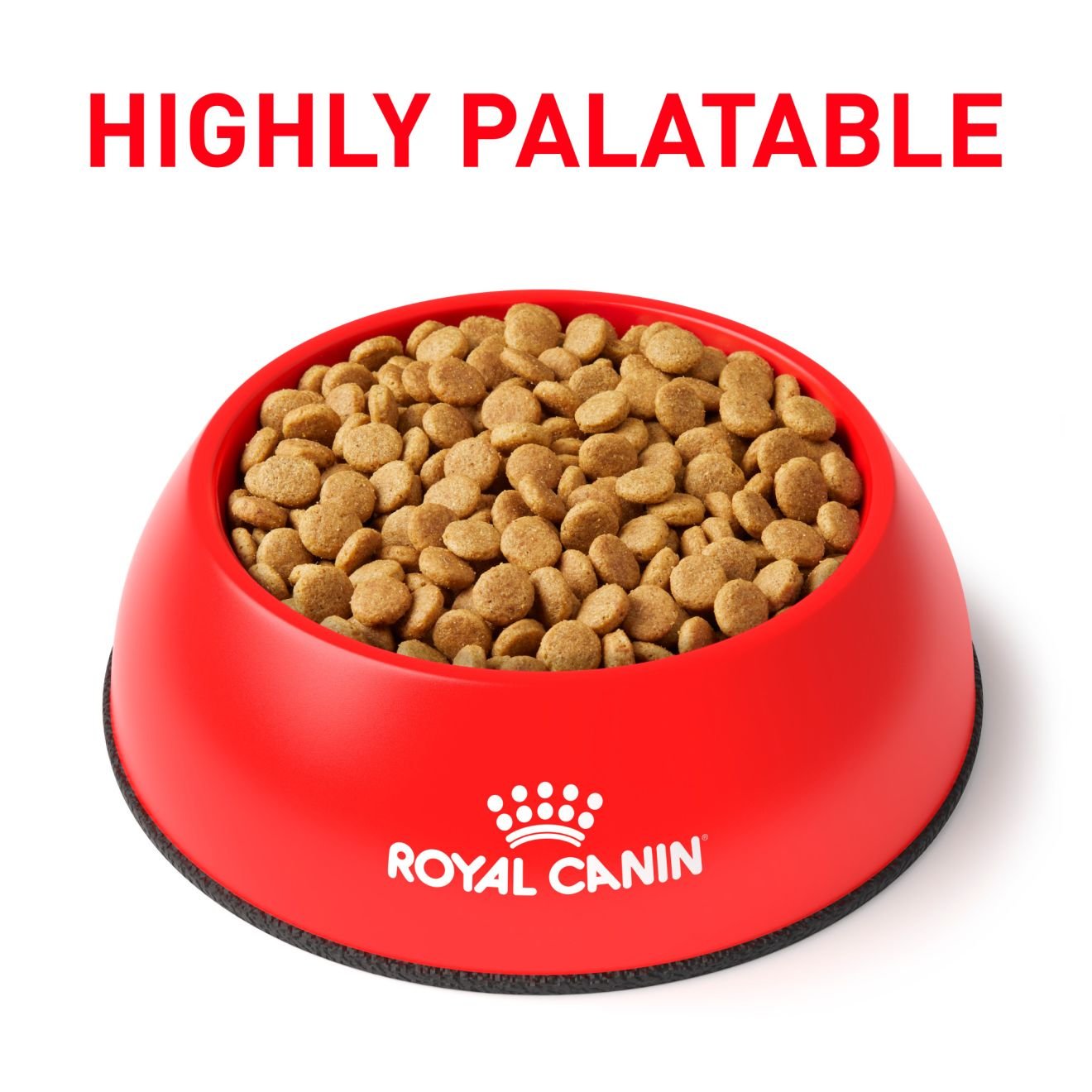 Royal canin urinary hot sale dry dog food