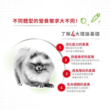 XSA+8_超小型成犬8+營養配方_正方形_HK_02