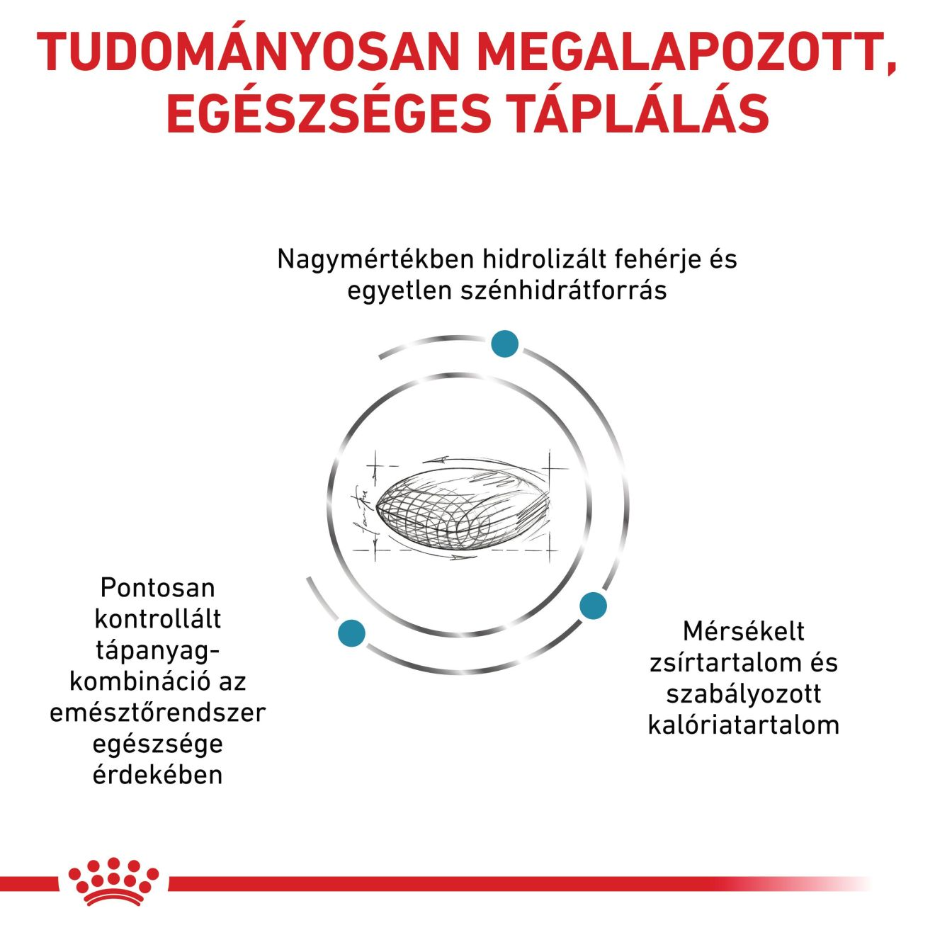 Hypoallergenic Moderate Calorie