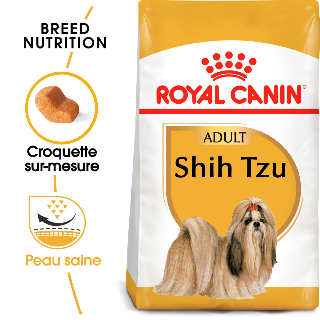 Shih Tzu Adult