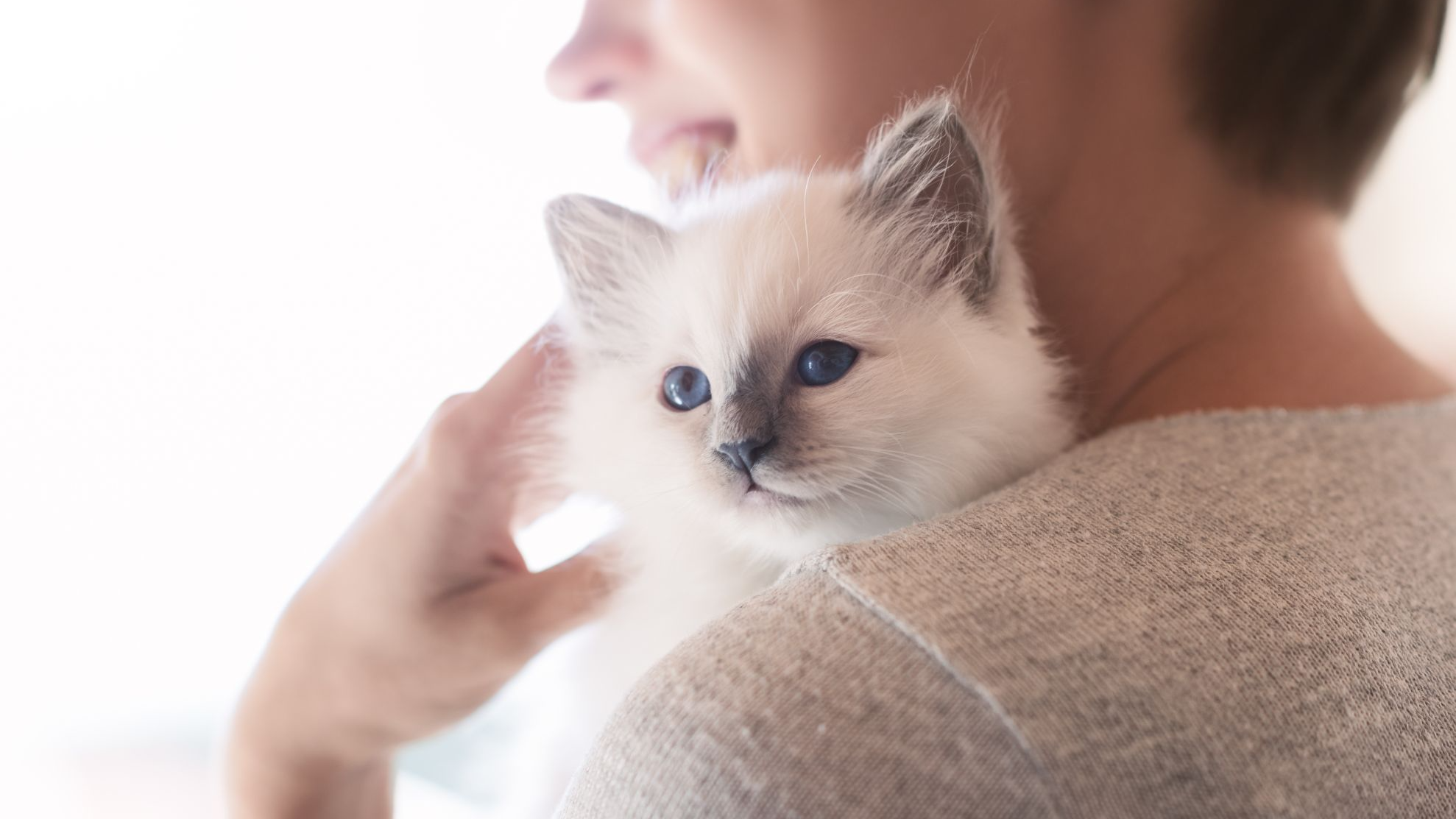 Lachende vrouw knuffelt met een kitten.