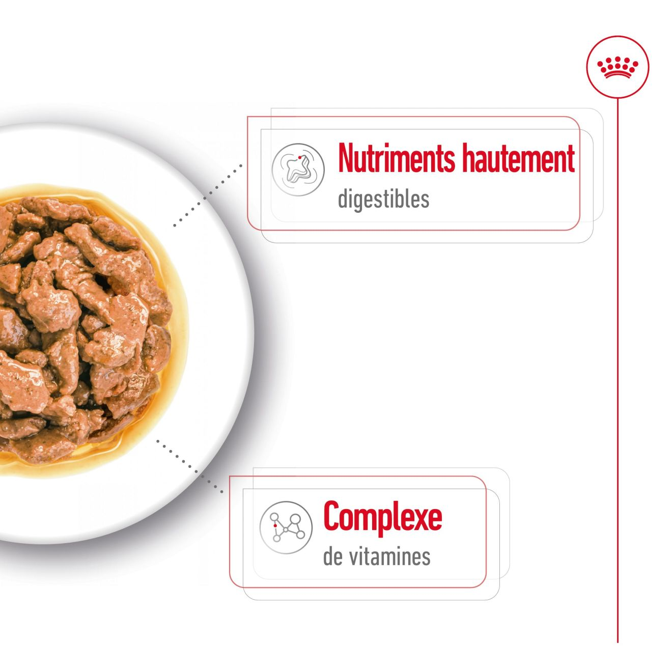 Mini Adult Gravy (émincés en sauce) 