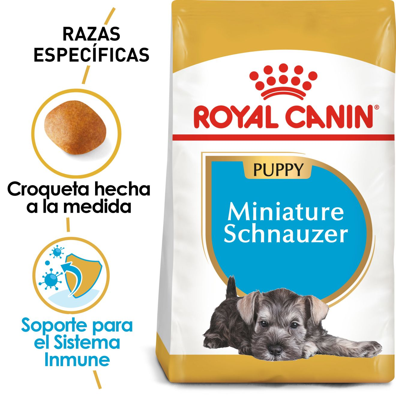 Schnauzer Miniatura Cachorro