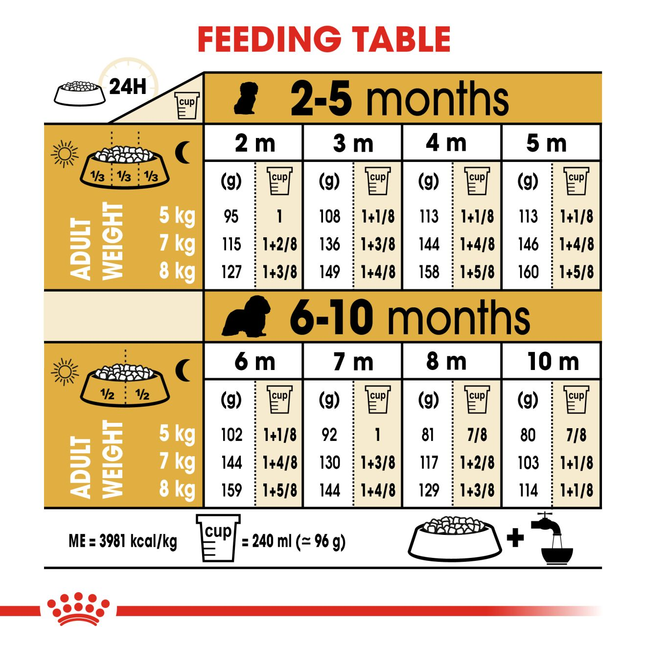 what is the ideal weight for a cavalier king charles spaniel