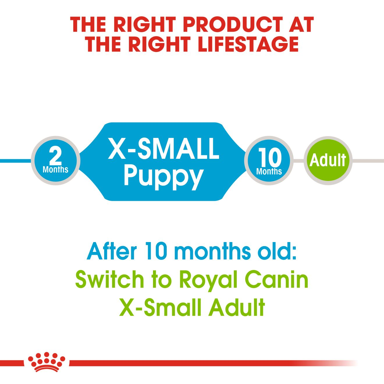 Ração Royal Canin X-Small Puppy Para Cães Filhotes de 2 a 10 Meses