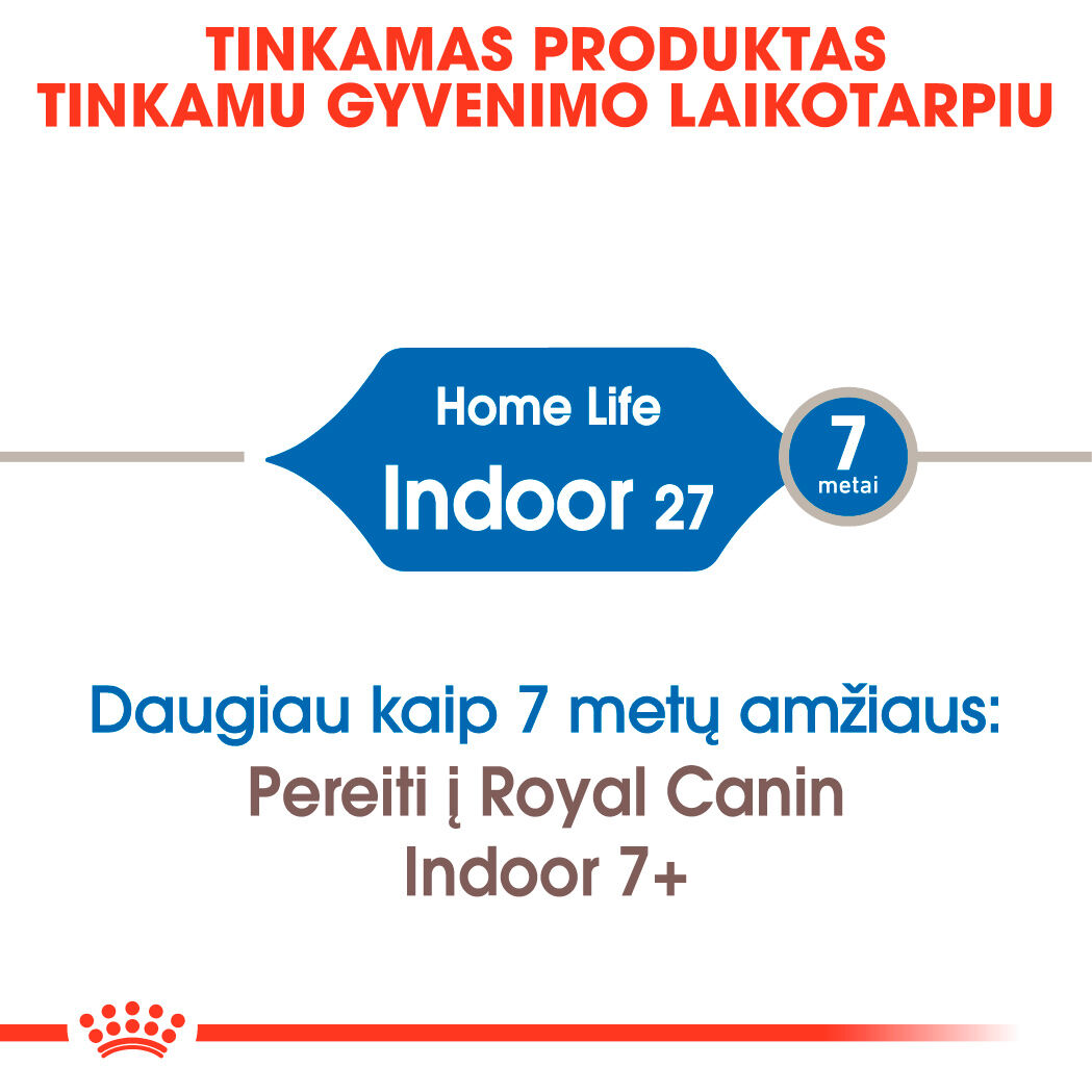 Indoor 27