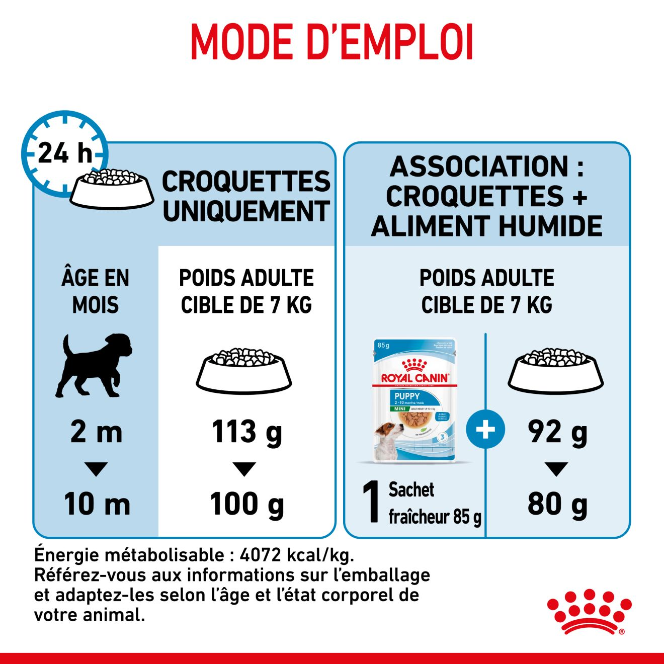 Mini Puppy pour chiot