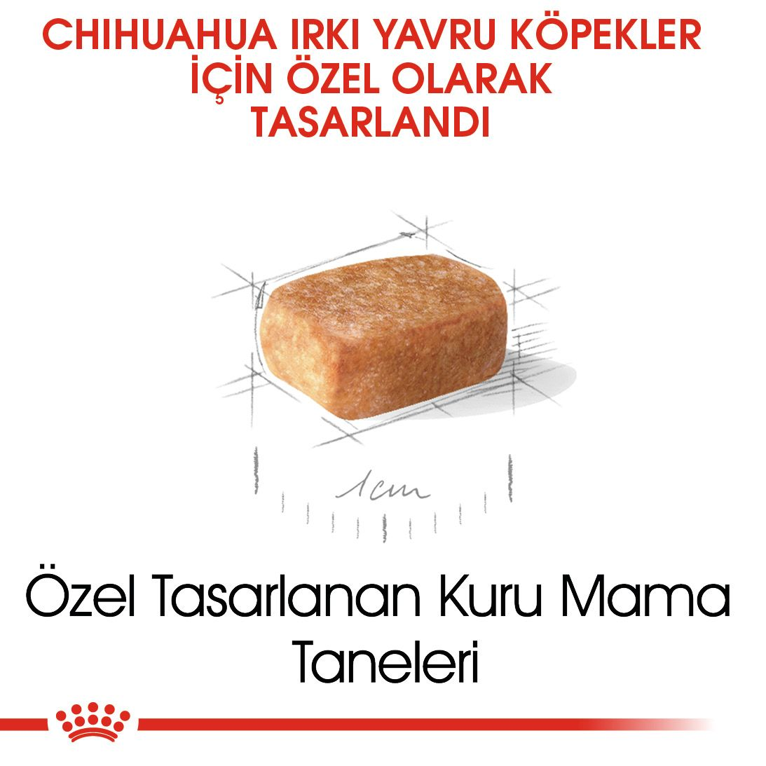 Chihuahua Puppy Yavru Köpek Kuru Maması