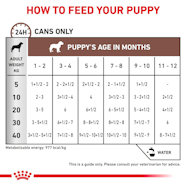 Gastrointestinal Puppy Royal Canin AU