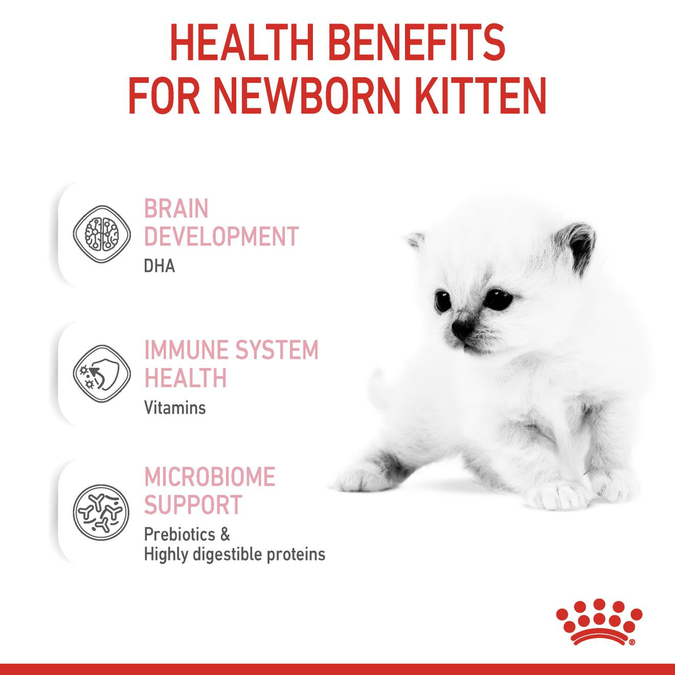BABYCAT MILK Royal Canin DE