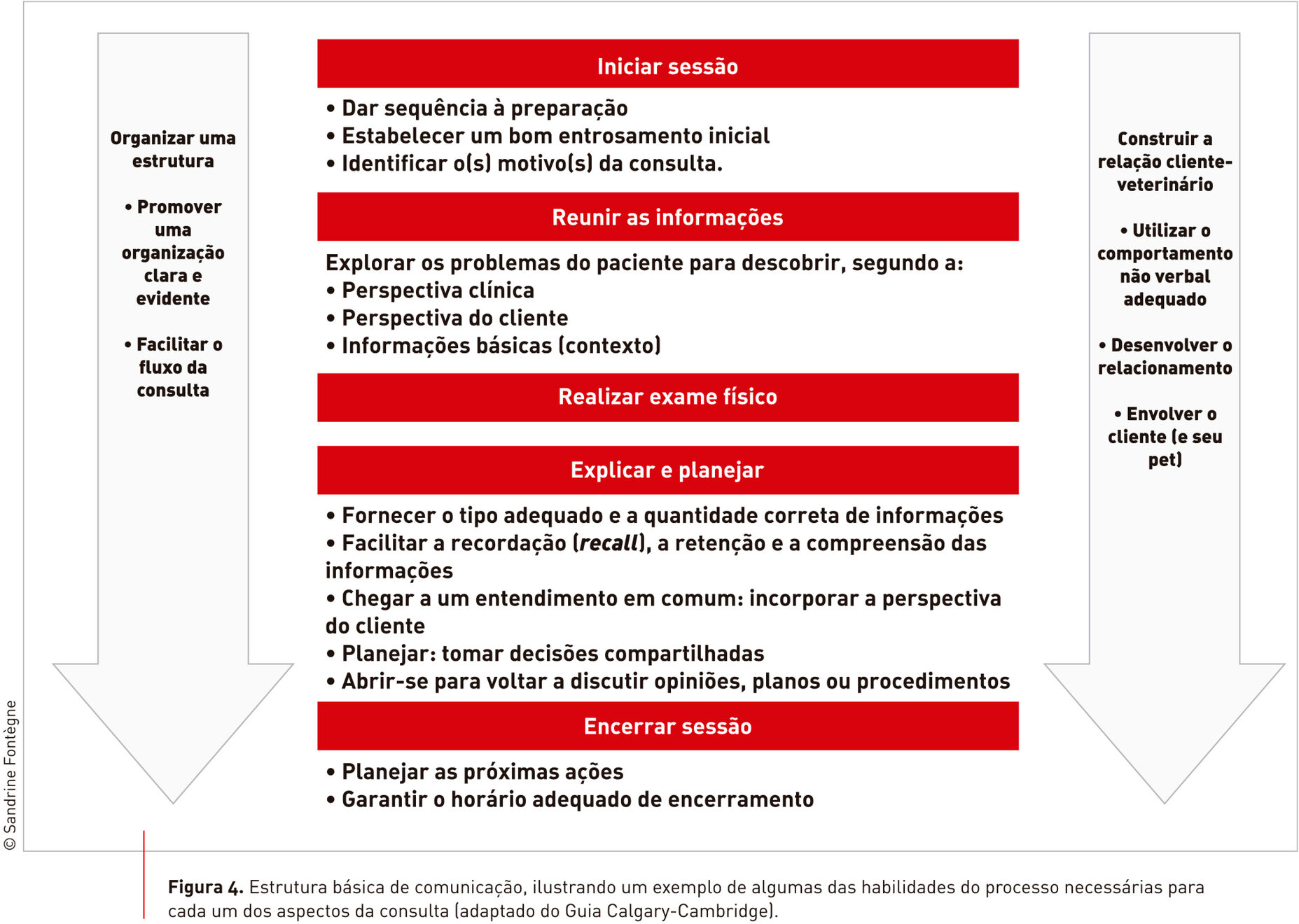 Estrutura de comunicação com exemplos de habilidades práticas necessárias para cada aspecto da consulta.