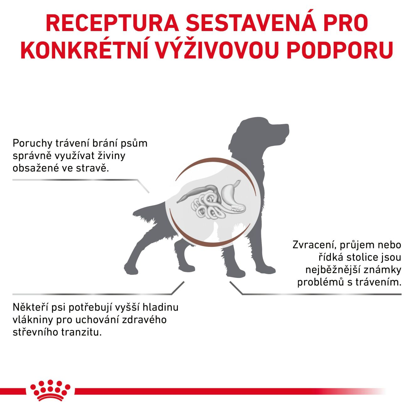 VHN Dog Gastrointestinal High Fibre