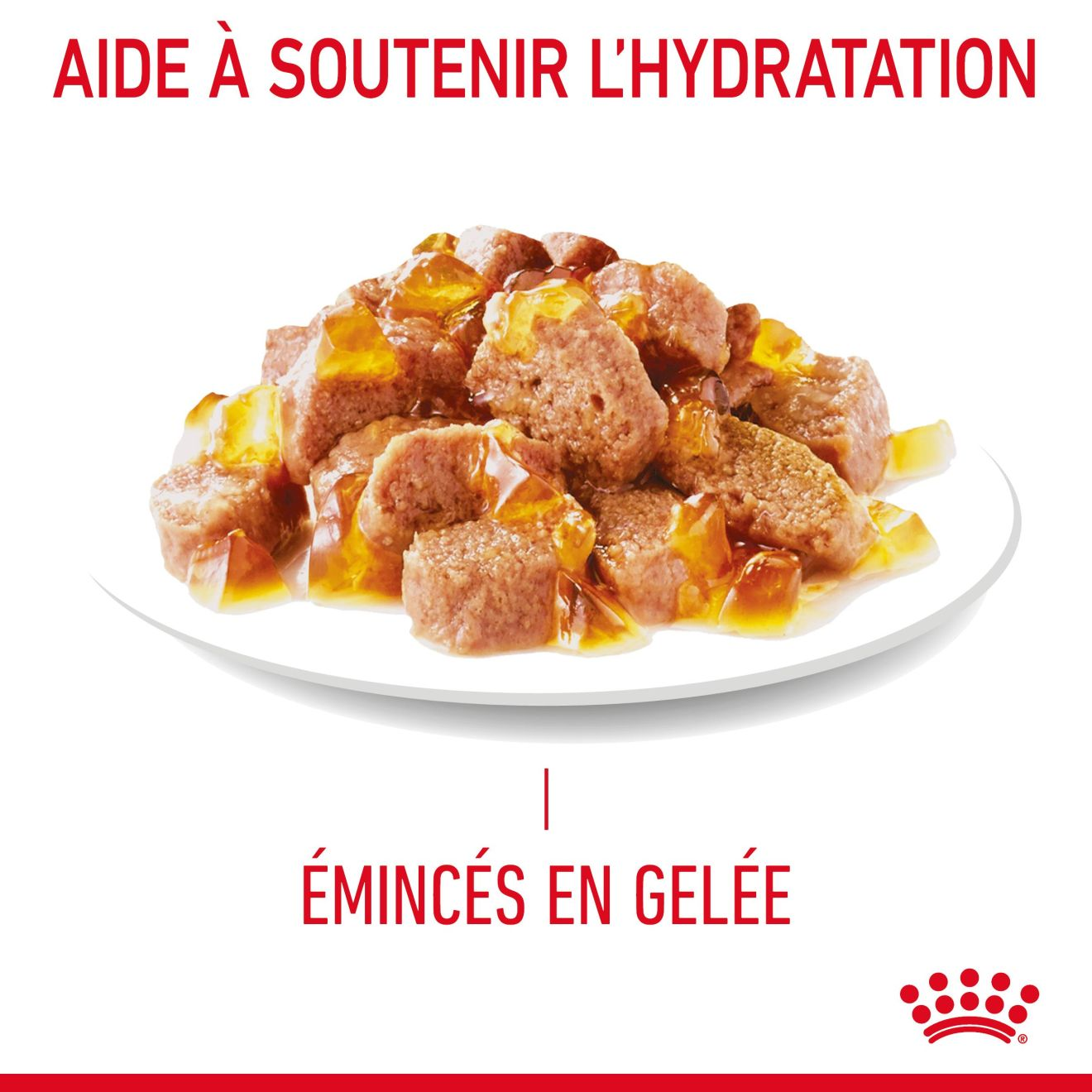 Hairball Care Jelly (émincé en gelée) 