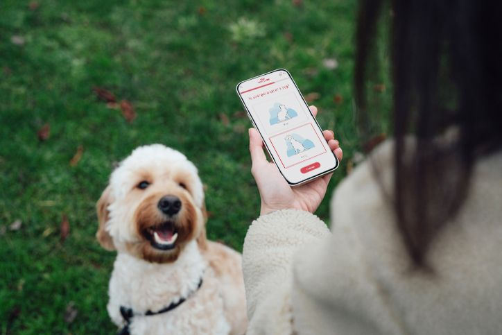 woman using smart phone while walking her dog