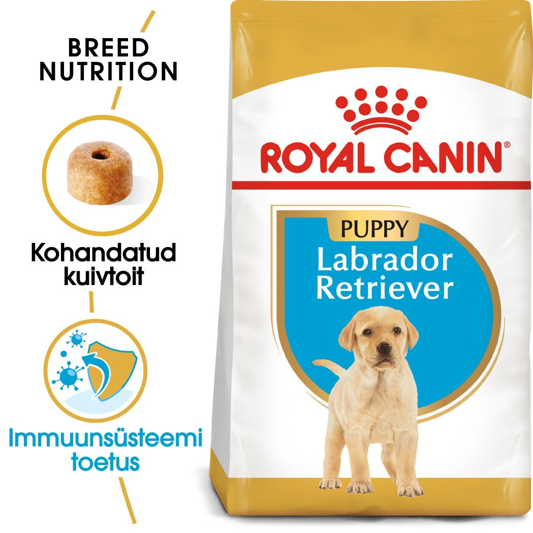 Royal Canin Labrador Retriever Puppy kuivtoit