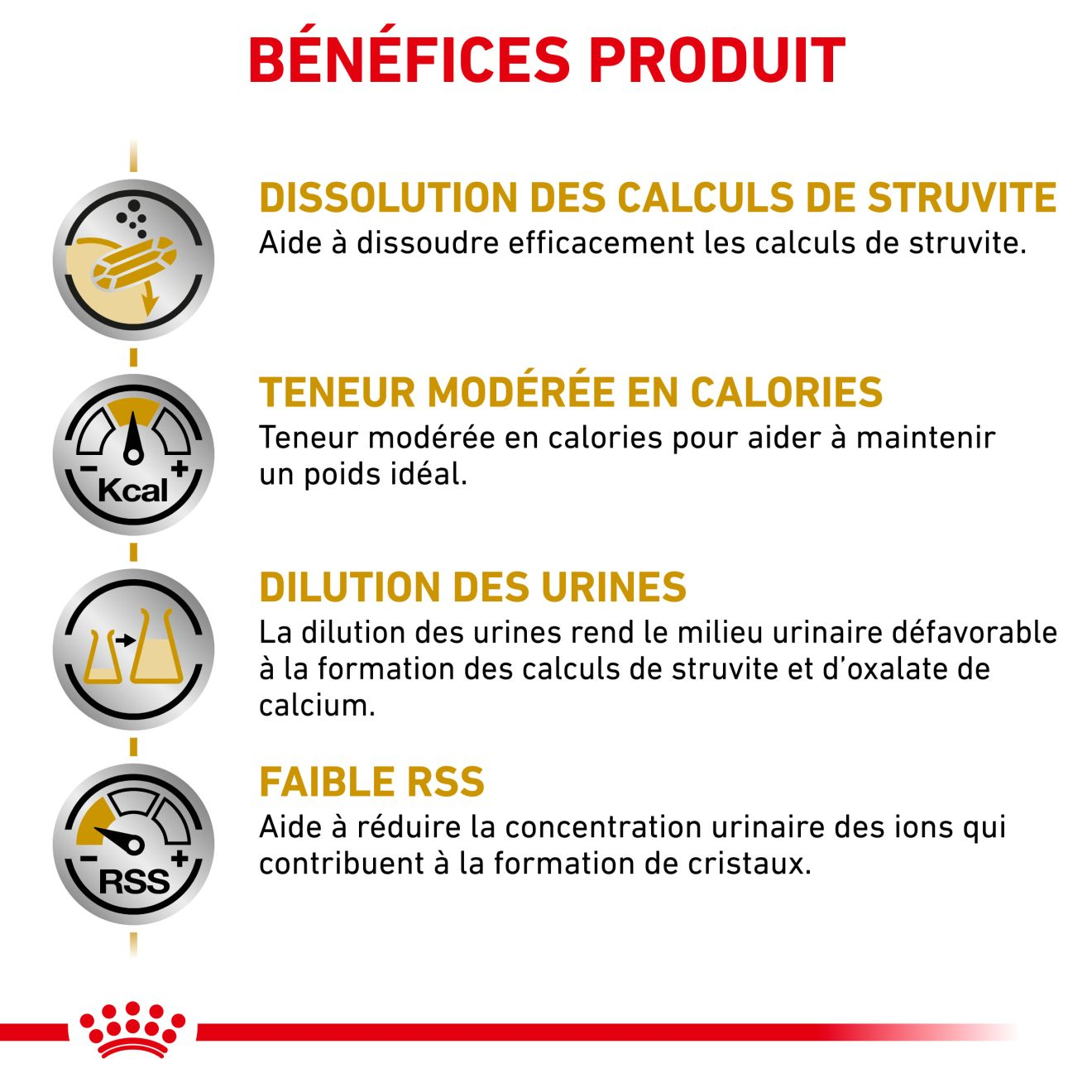 Urinary   S/O Moderate Calorie