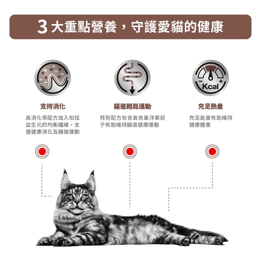 成貓腸胃高纖易消化處方