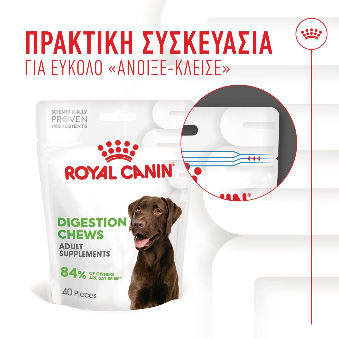 DIGESTION CHEWS