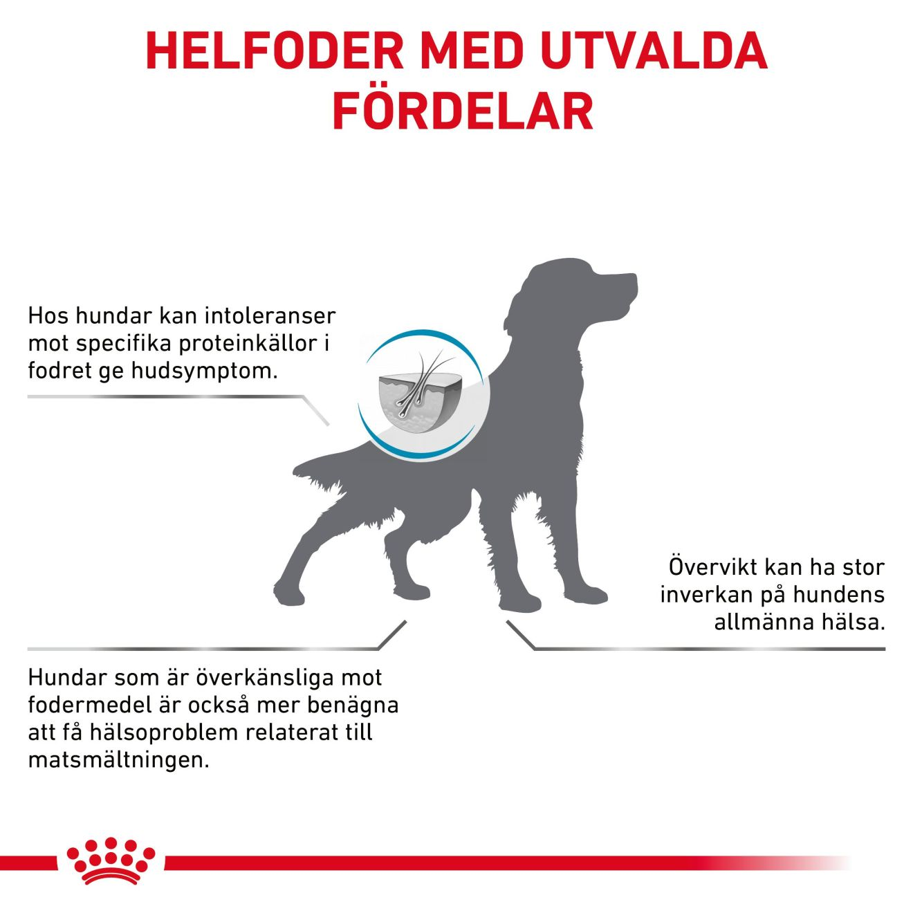Derma Hypoallergenic Moderate Calorie