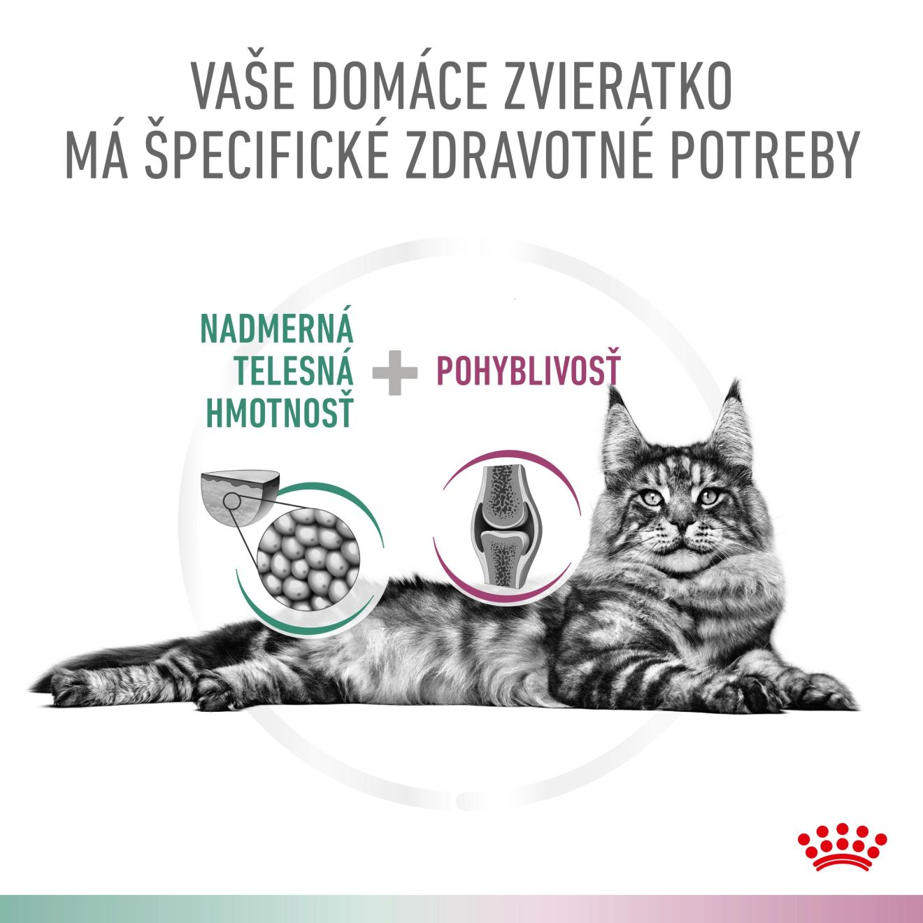 VHN Cat CA Satiety - Mobility