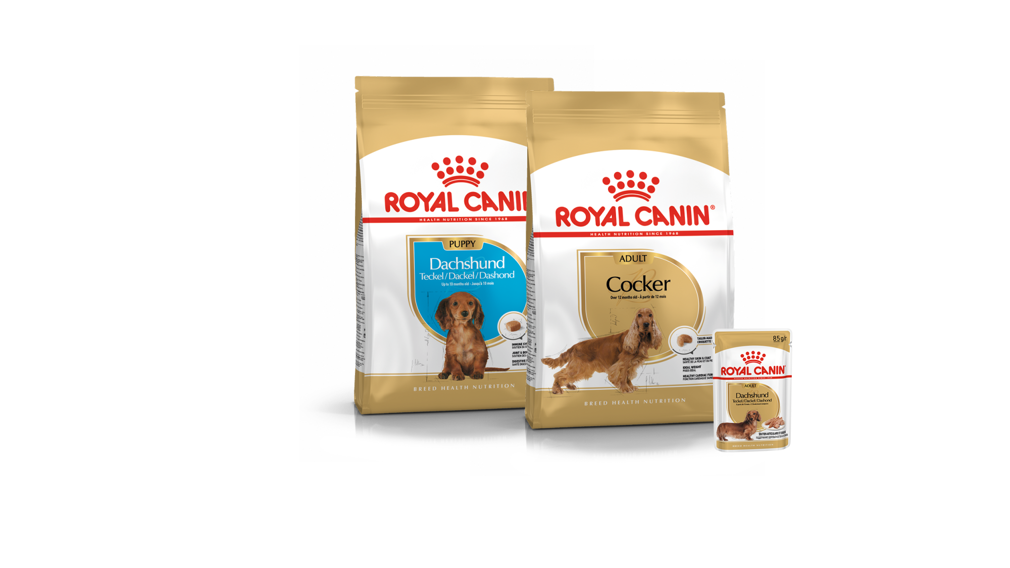 Global pet foods royal canin best sale