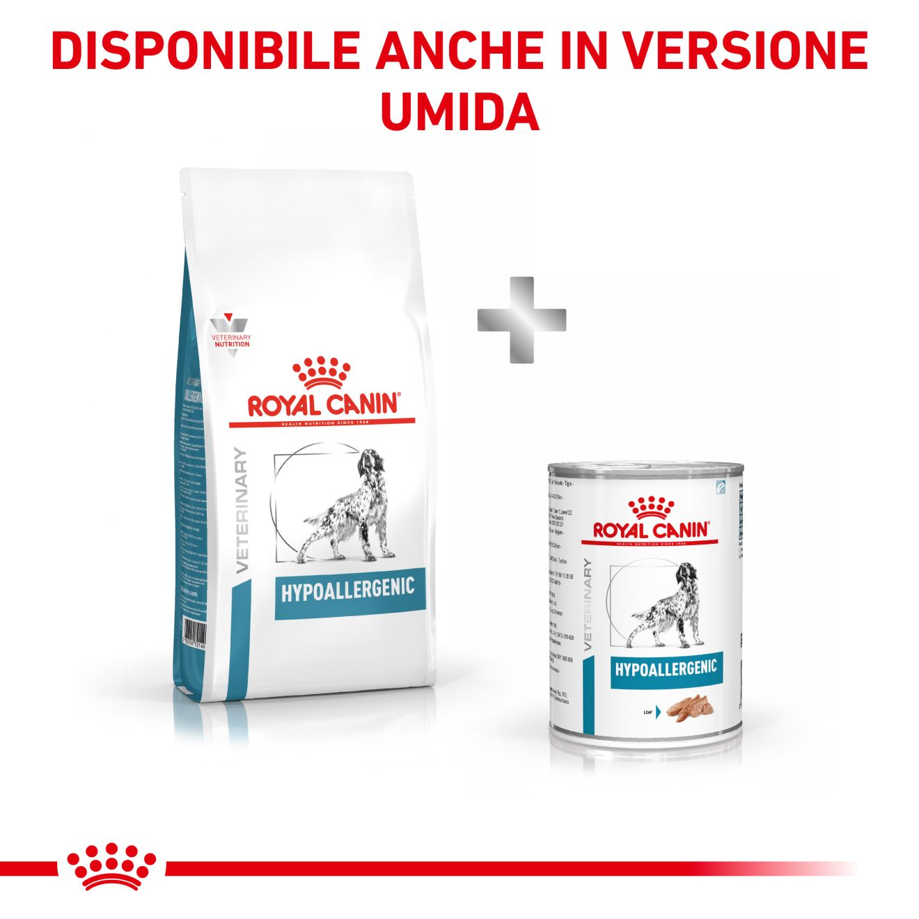 Royal canin best sale hypoallergenic cane