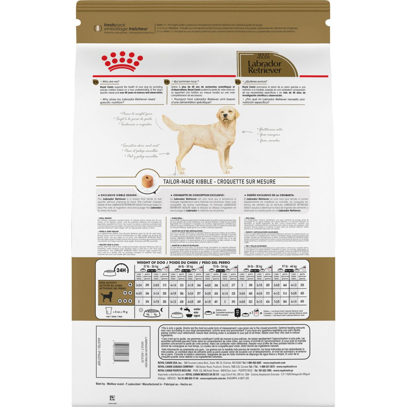 Labrador Retriever Adult Dry Dog Food