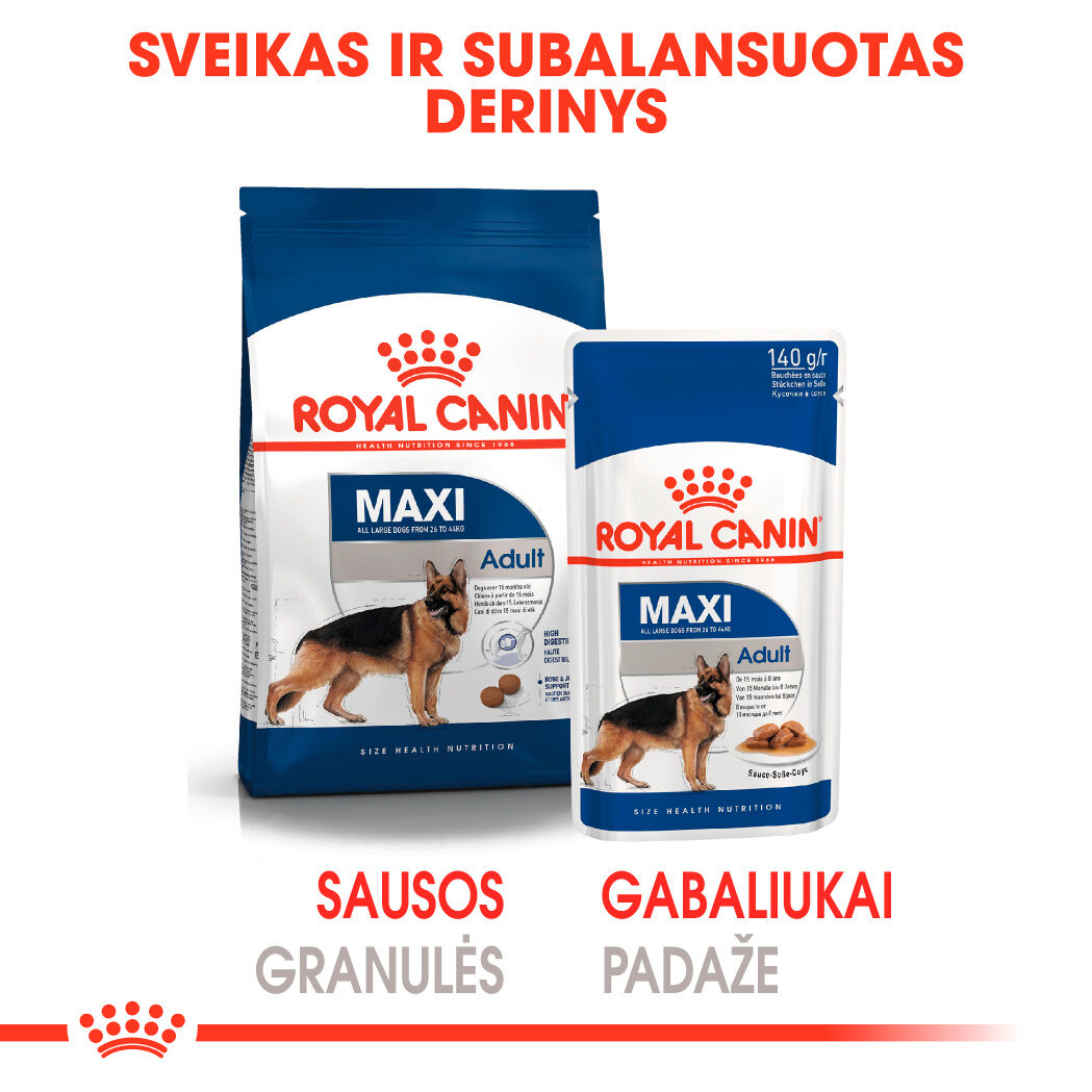 Maxi Adult