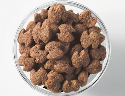 Eukanuba-Kibble_Bowl_Adult_Senior_Fit_Body_Small_Breed