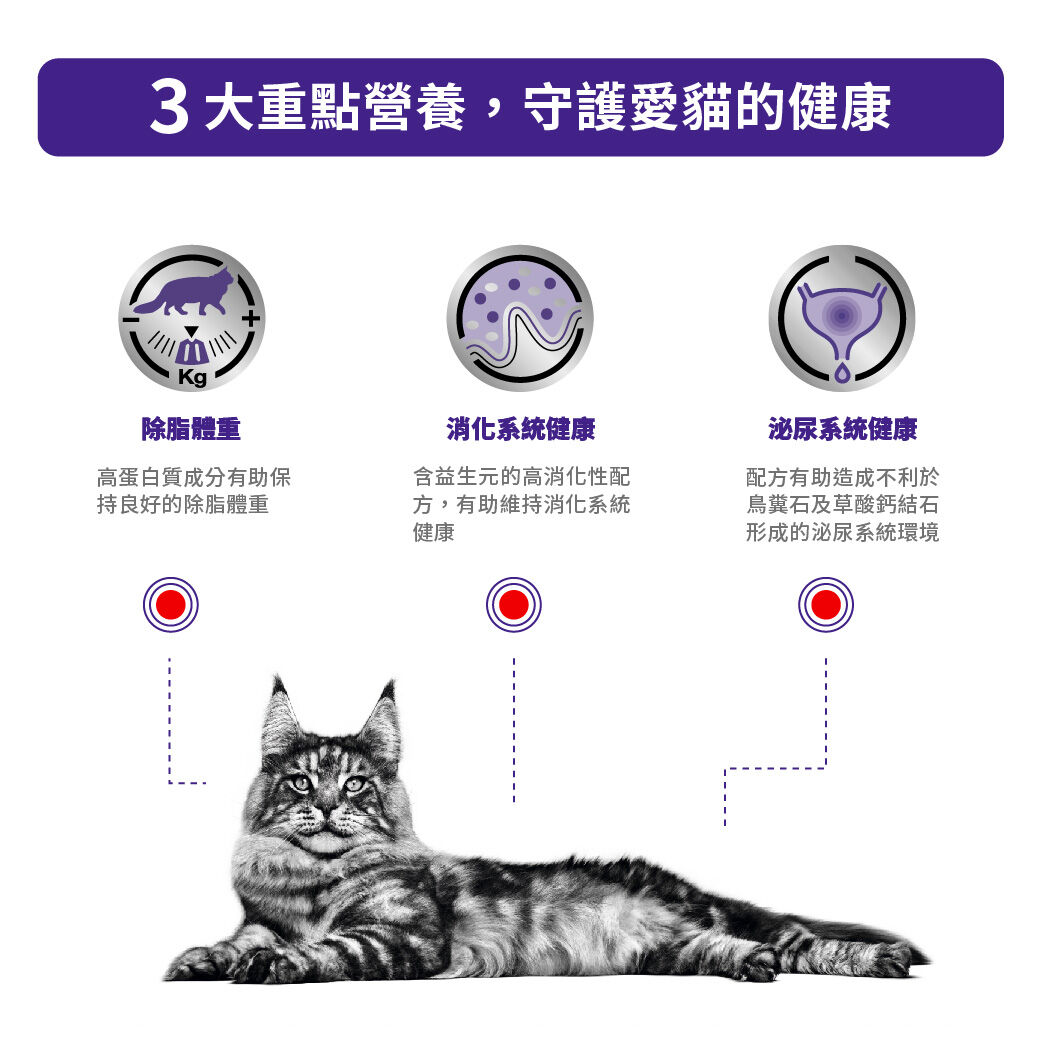 絕育貓體重維持健康管理袋裝濕糧（肉汁）