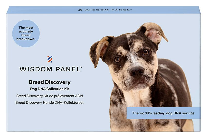 Wisdom panel dog product breed discovery