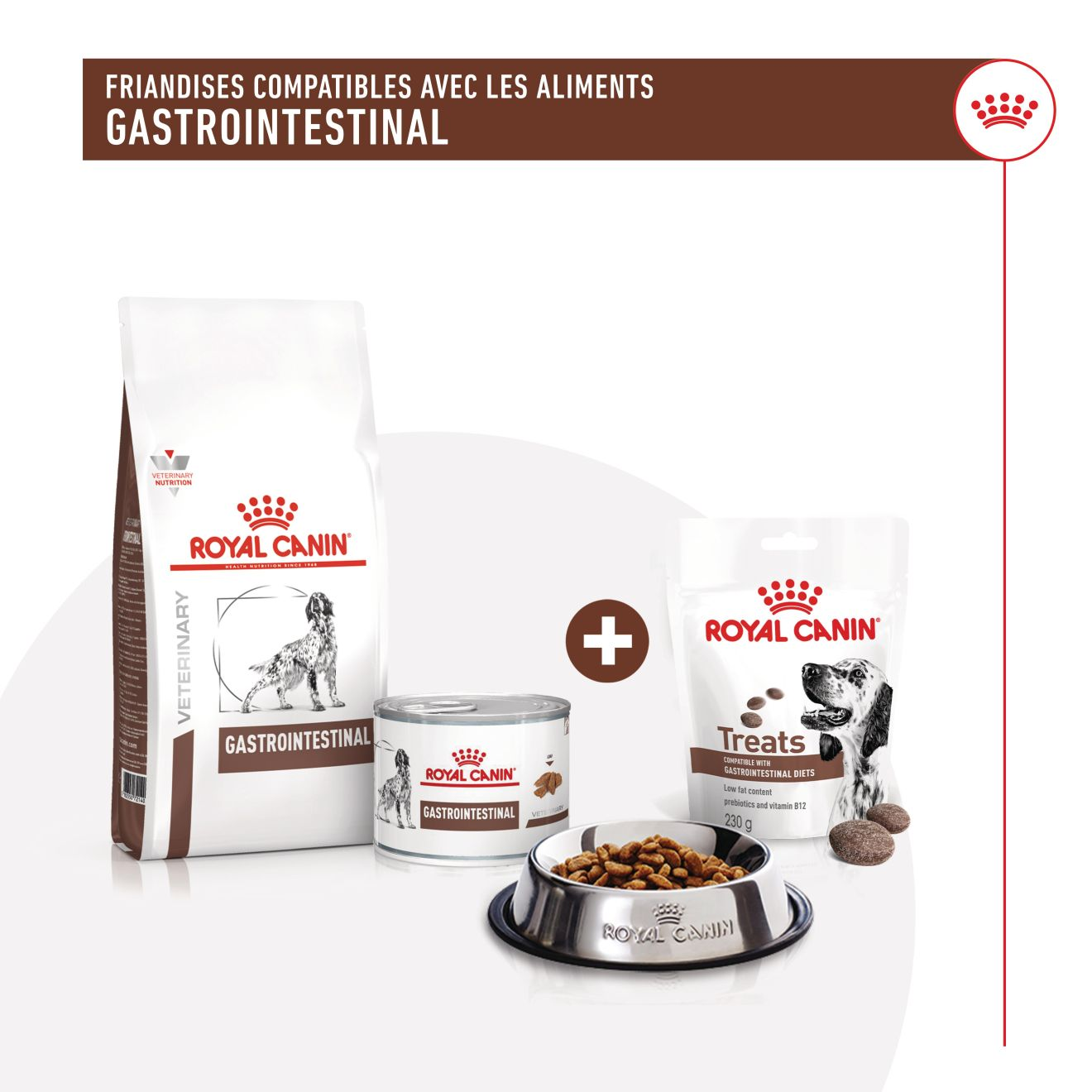 Aliment complémentaire Gastrointestinal Treats pour chien