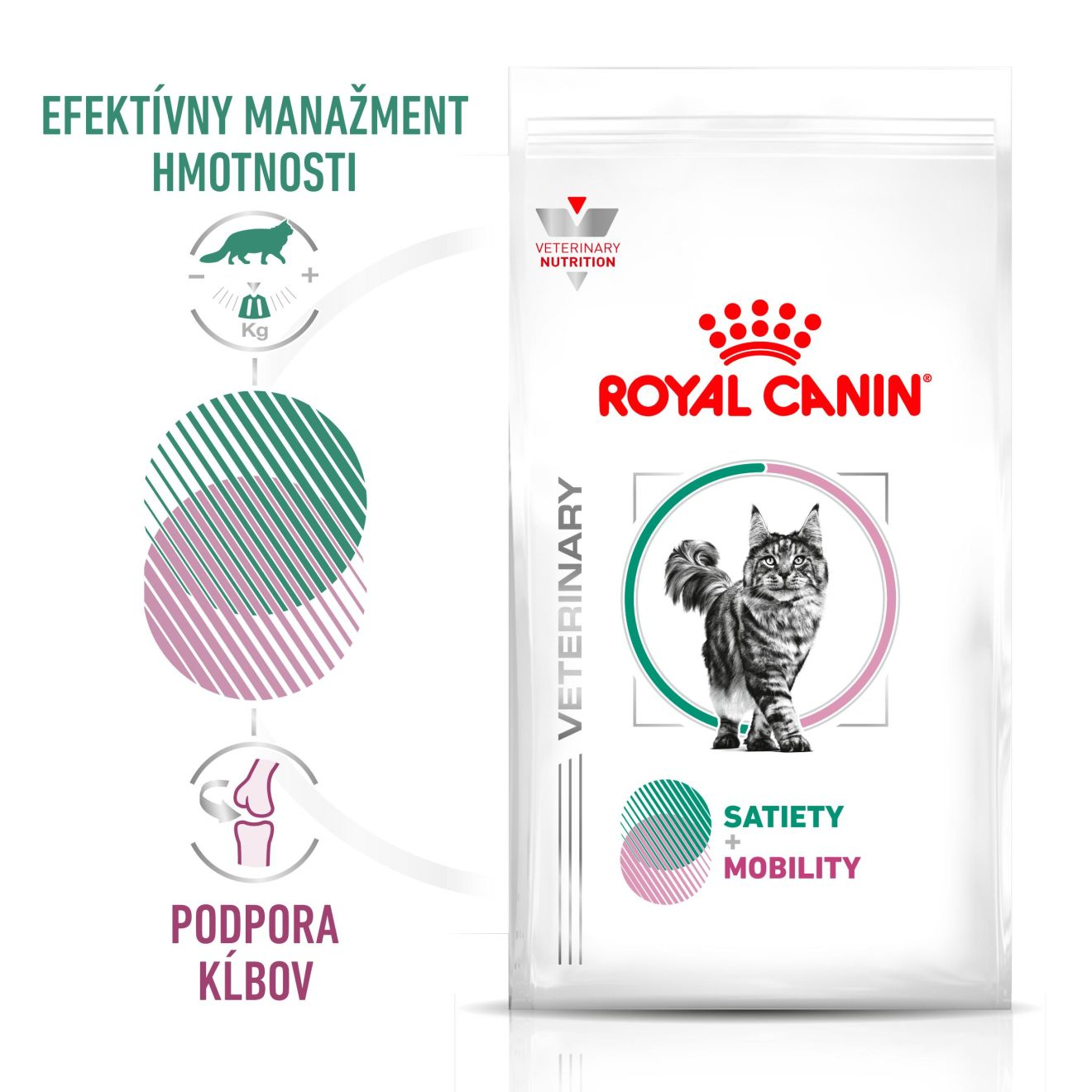 VHN Cat CA Satiety - Mobility