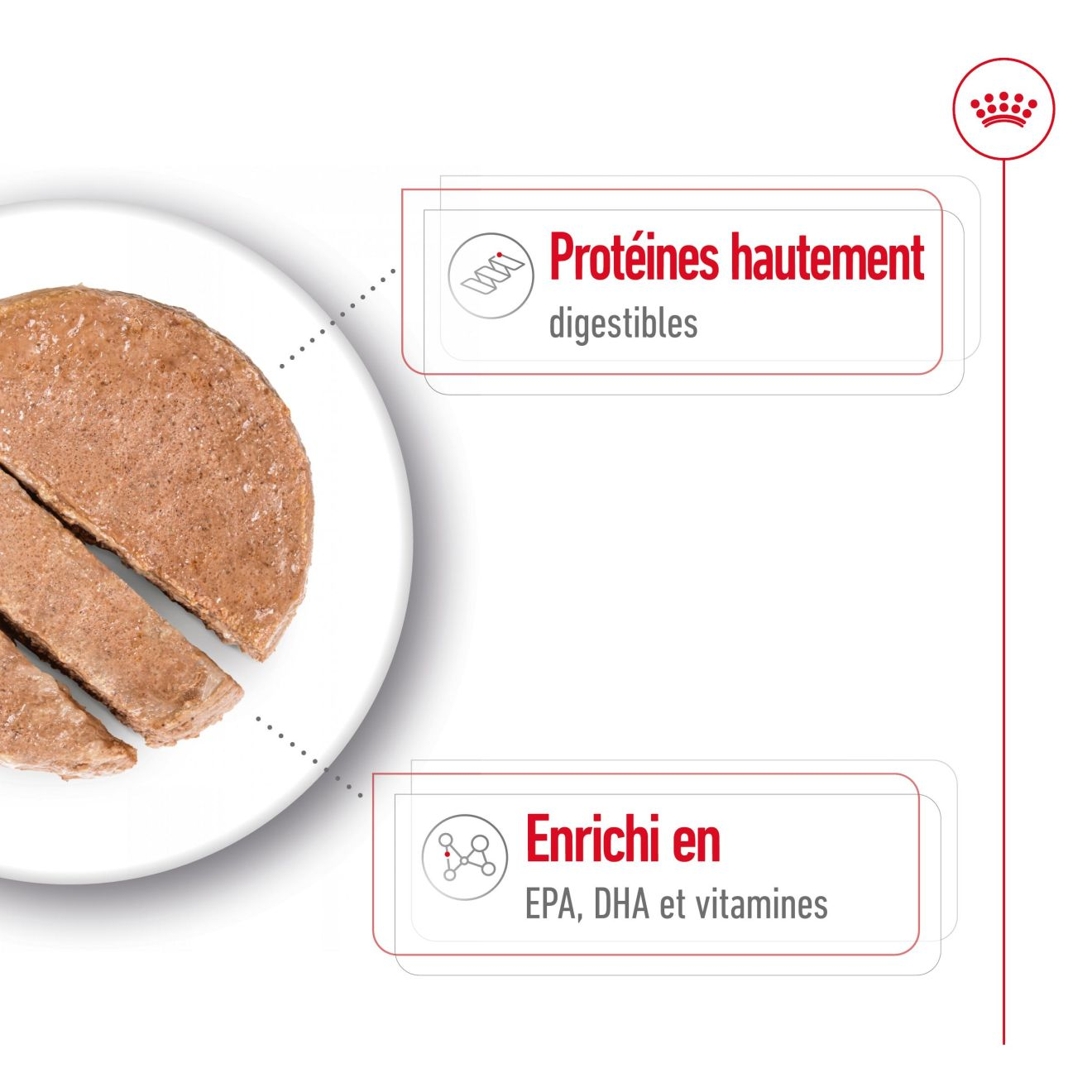 Maxi Ageing en mousse