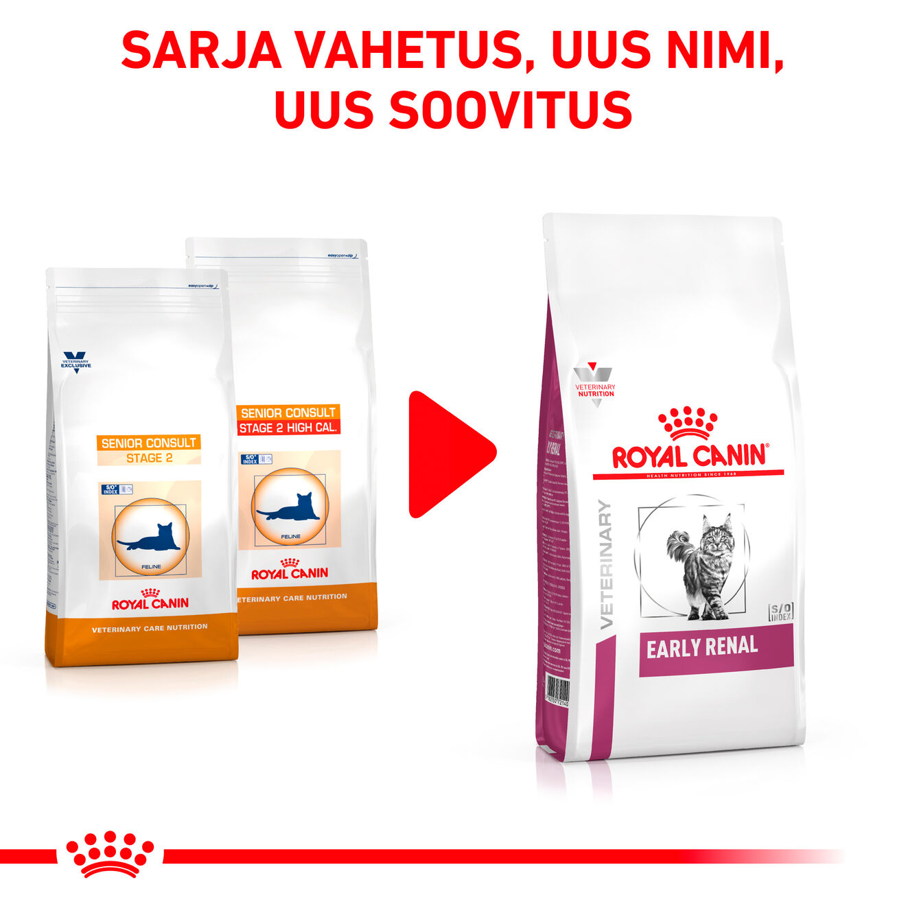 Royal Canin Early Renal Cat kuivtoit