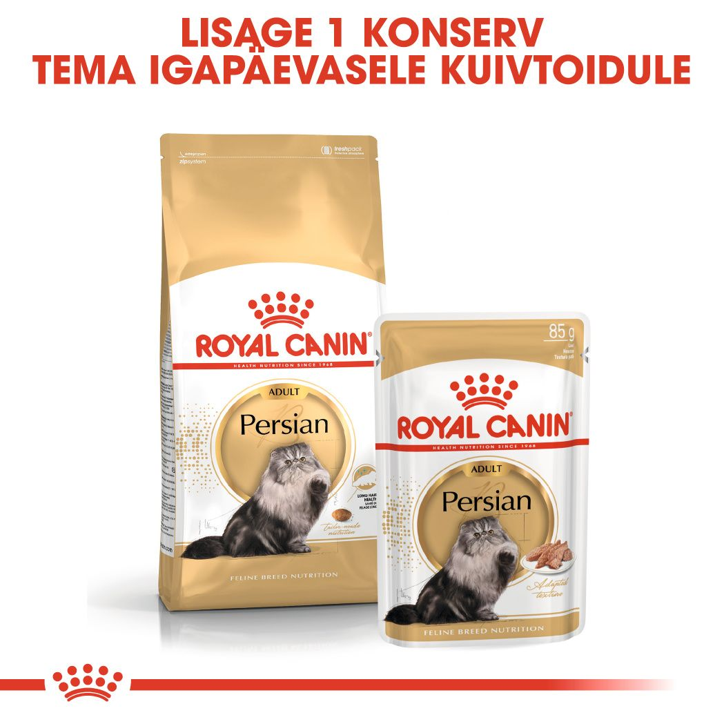 Royal Canin Persian Adult kuivtoit