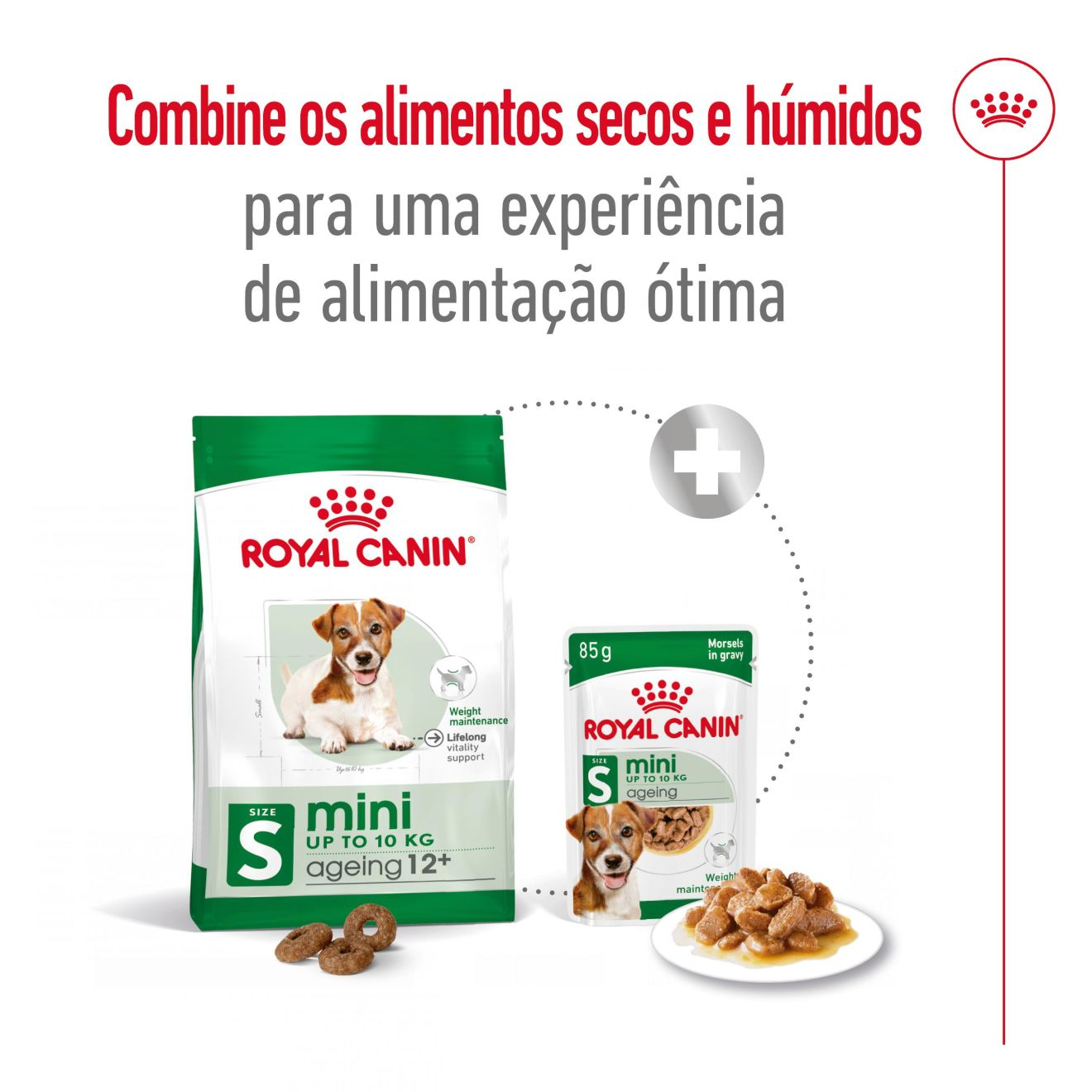 Mini Ageing 12+