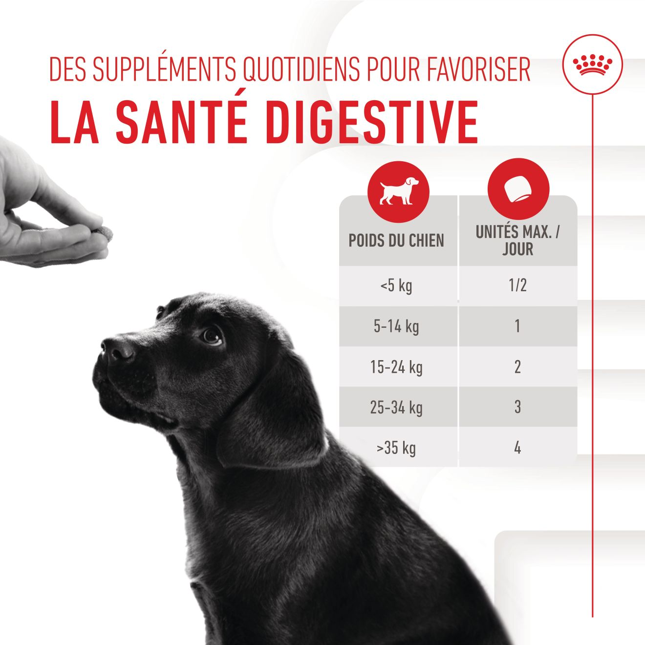  Aliment Complémentaire Puppy Immunity & Digestion Chews pour chiot