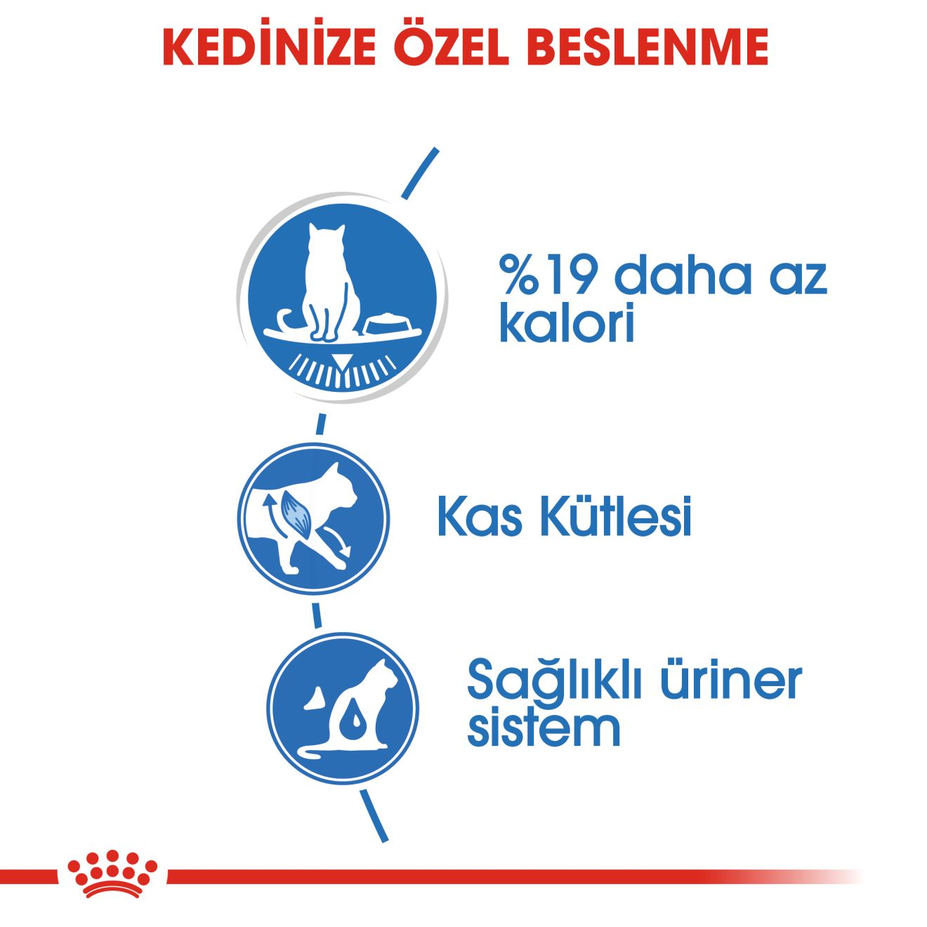 Light Weight Care Gravy Yetişkin Kedi Yaş Maması
