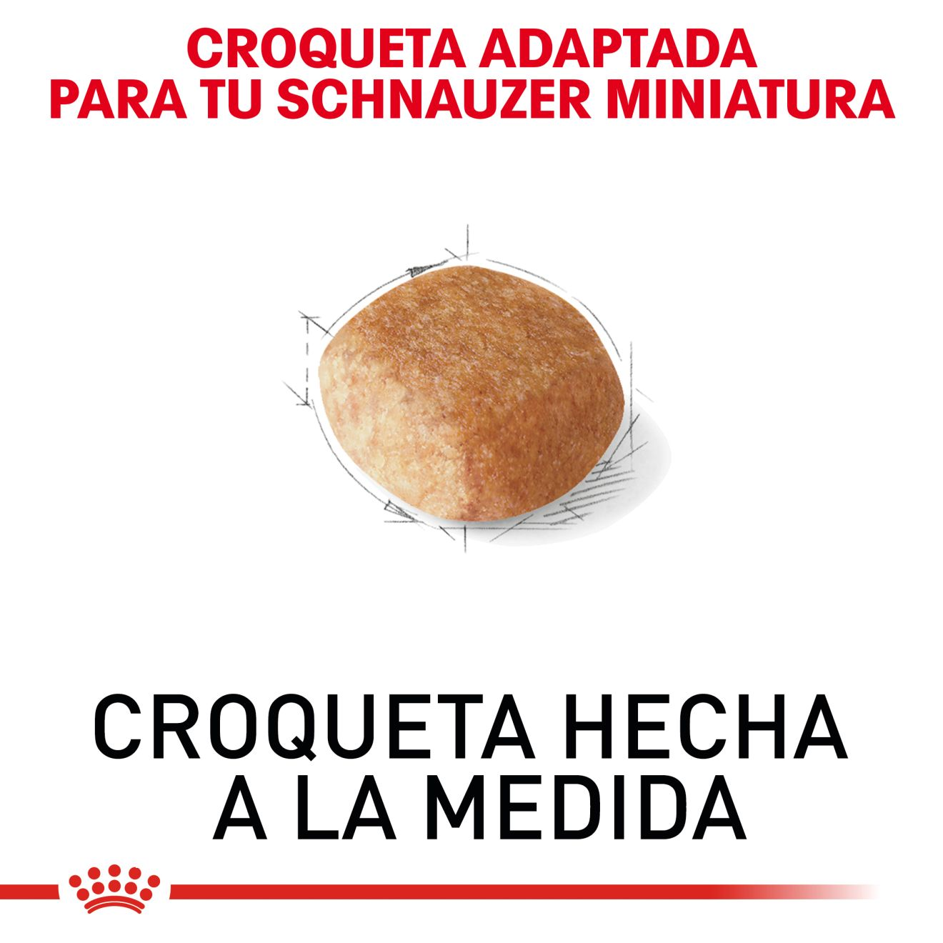 Schnauzer Miniatura Adulto