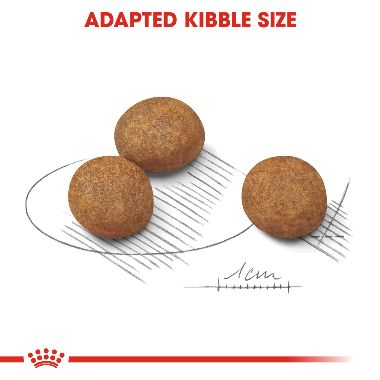 royal canin maxi junior puppy