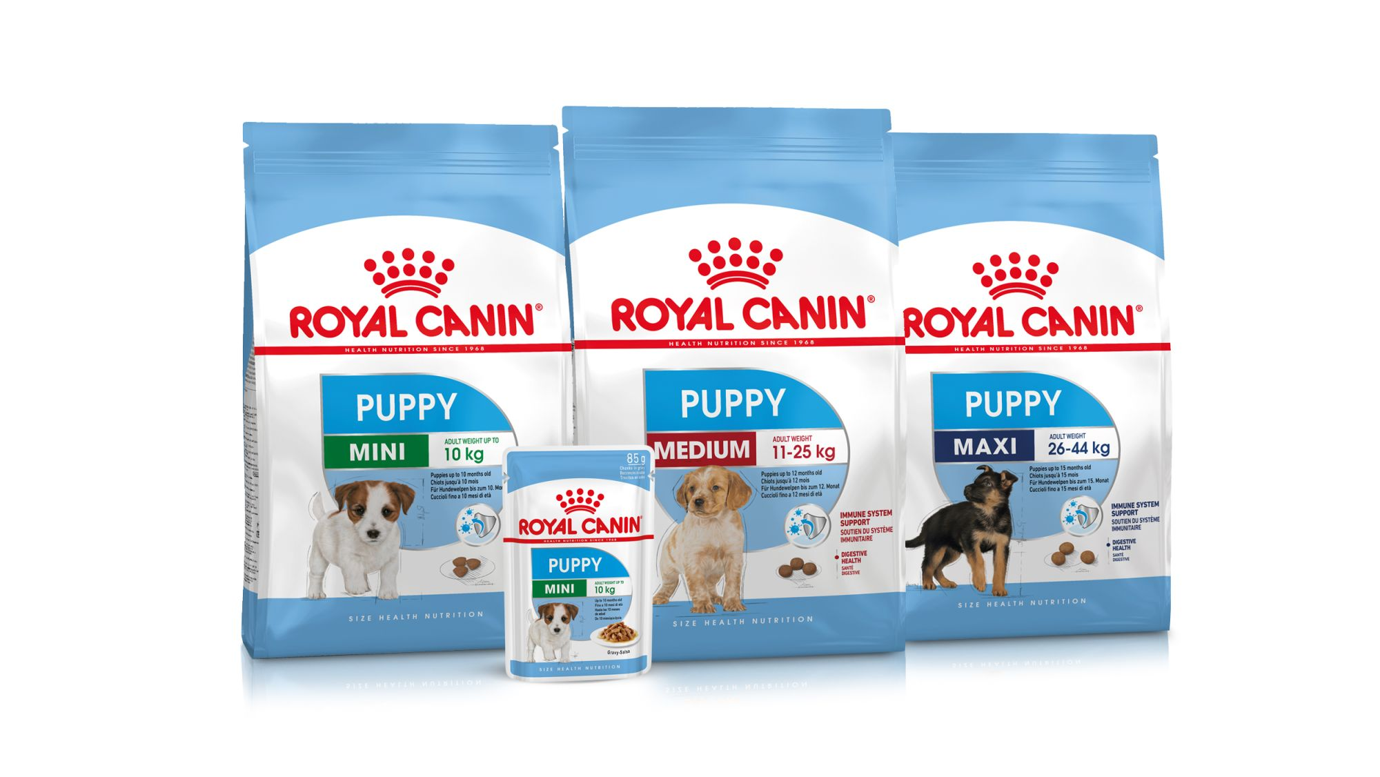 Suggerimenti sulla toelettatura e sull'igiene del cucciolo - ROYAL CANIN ®