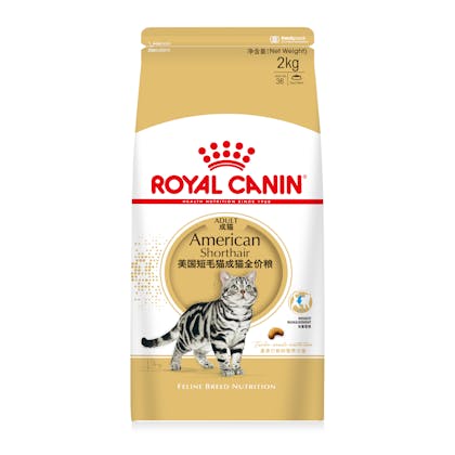 American Shorthair Dry Cat Food Royal Canin