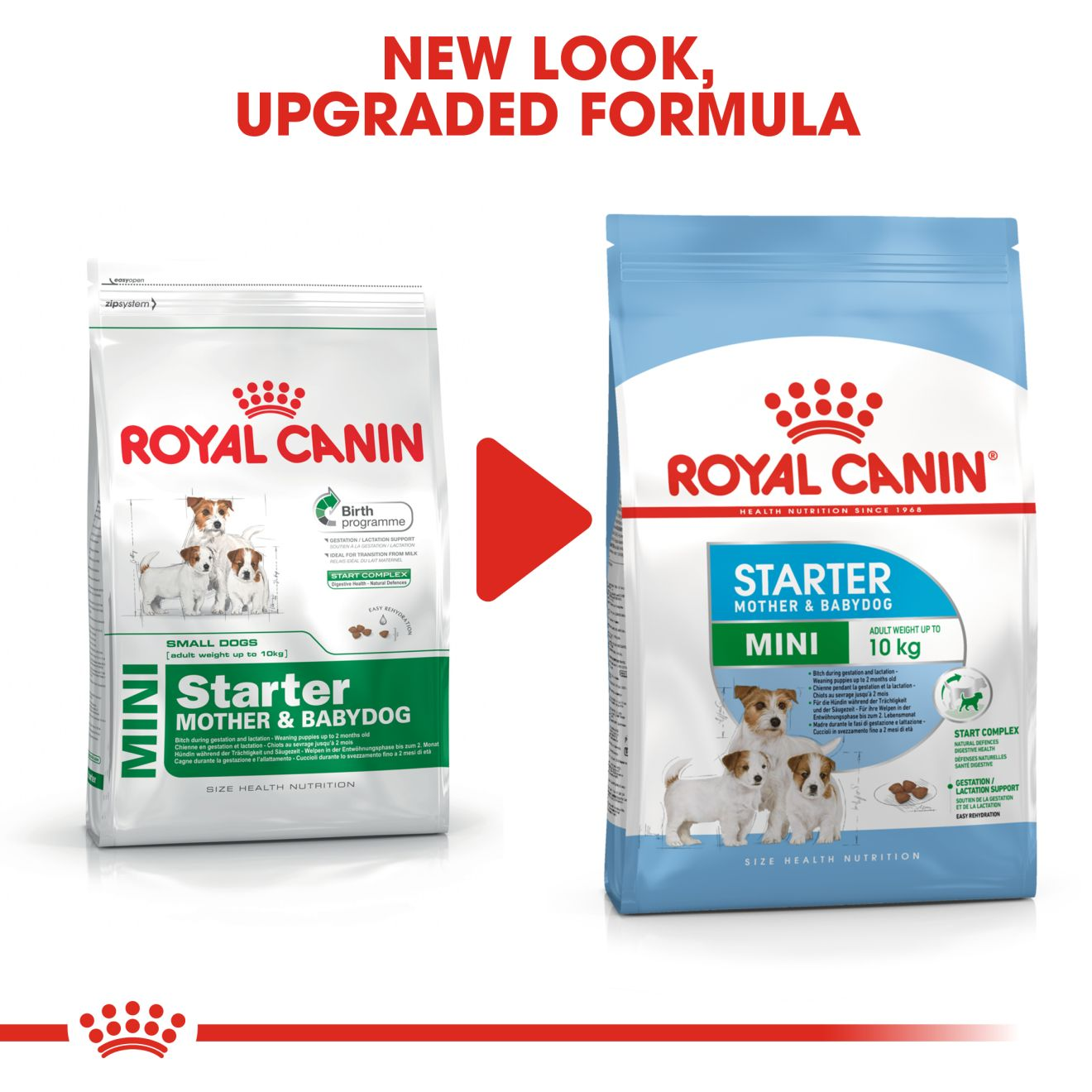 royal canin mini starter puppy food